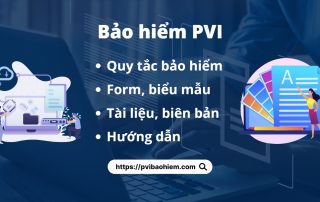 Quy tắc bảo hiểm PVI