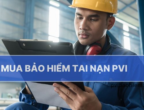 Mua bảo hiểm tai nạn PVI (PVI Accident Insurance) – Hướng dẫn chi tiết